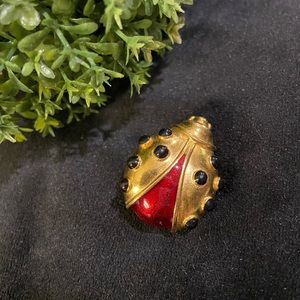 Ladybug brooch